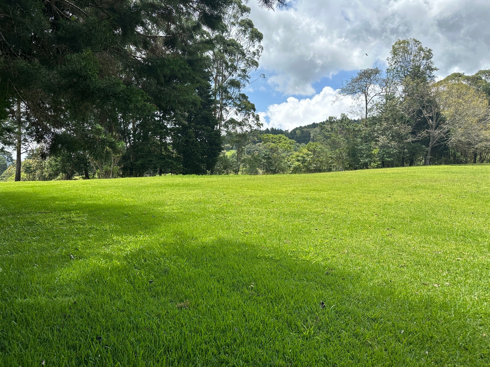 Amazing Lots in the Mountains of Tres Rios — photo 7 of 7