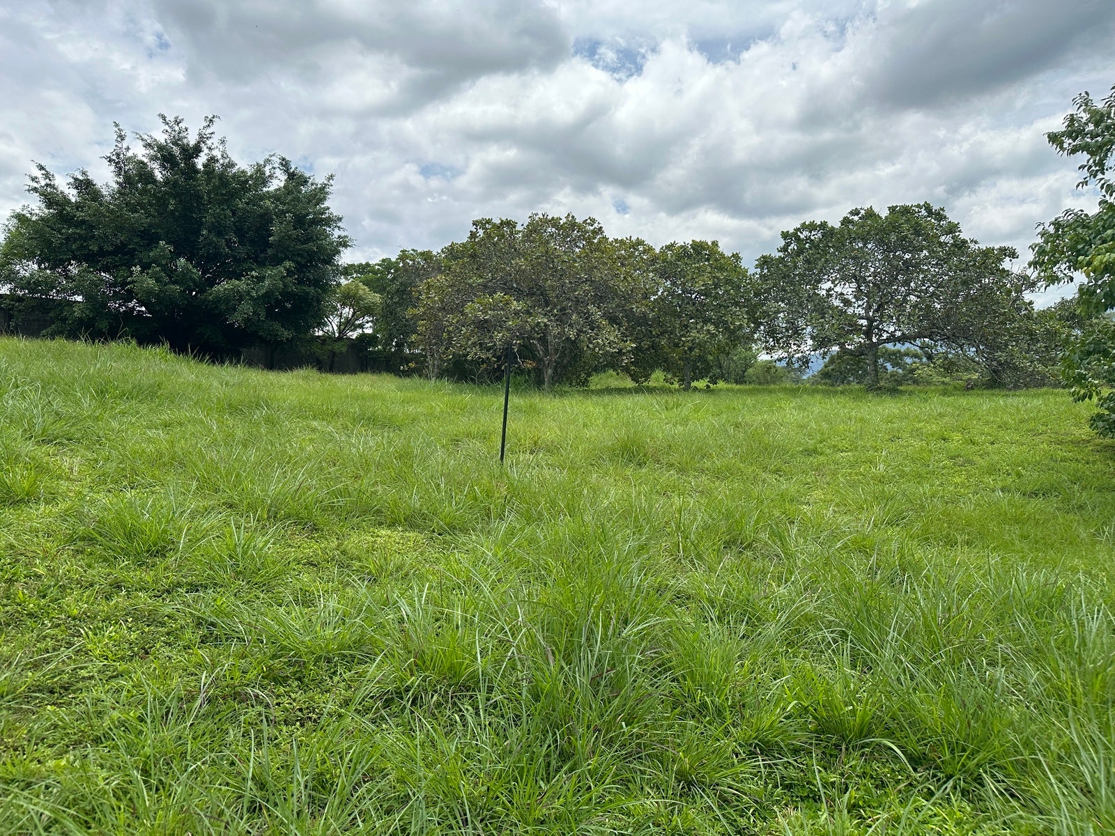 Premium Lot in First Phase of Hacienda Espinal — photo 2 of 19