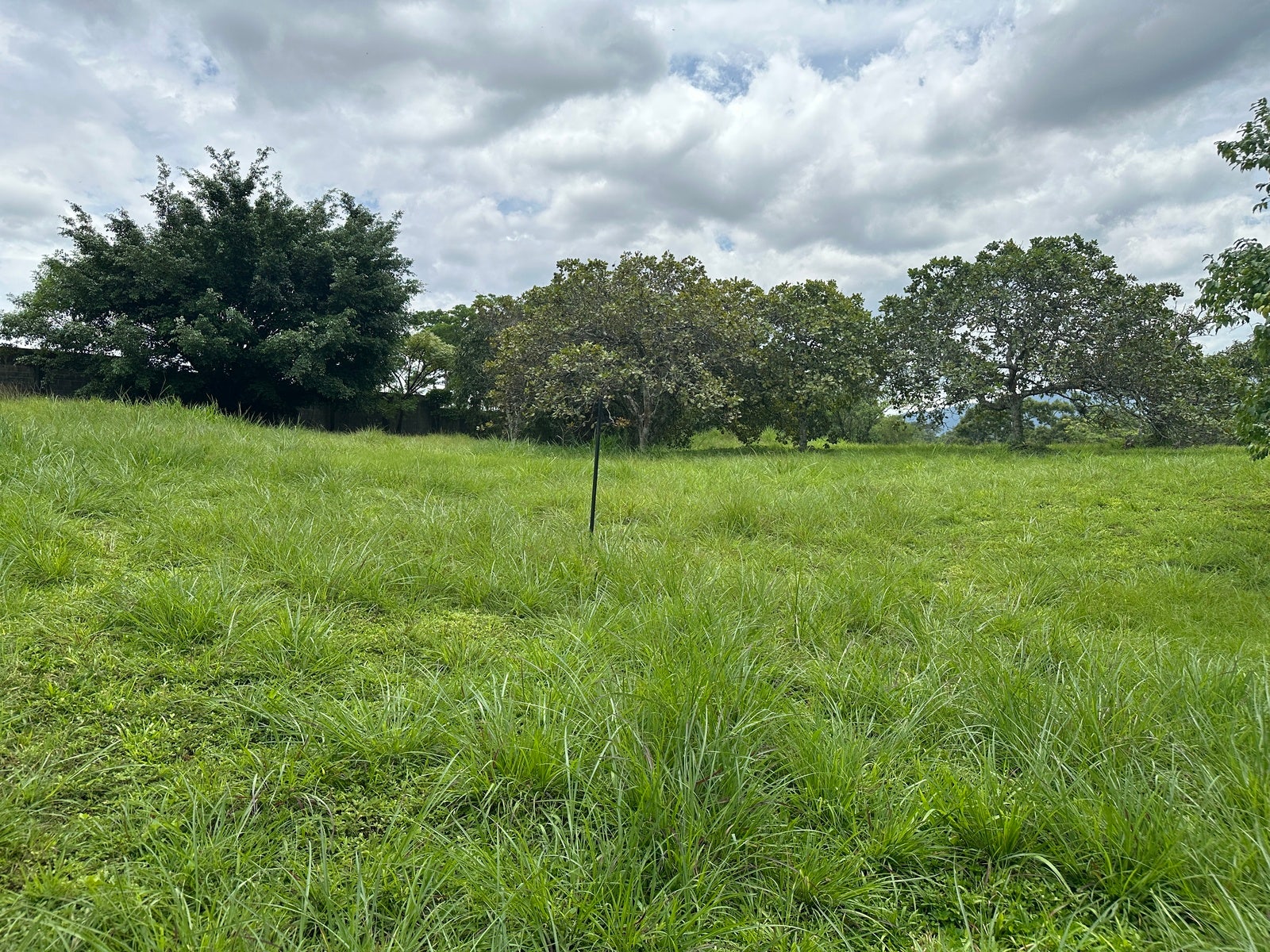 Premium Lot in First Phase of Hacienda Espinal — photo 3 of 19