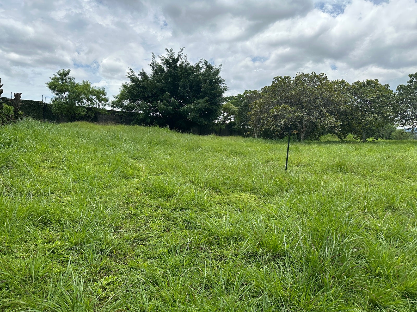 Premium Lot in First Phase of Hacienda Espinal — photo 4 of 19