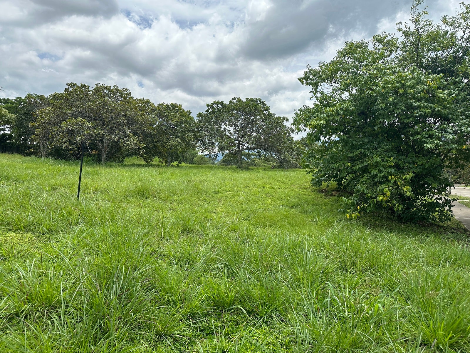 Premium Lot in First Phase of Hacienda Espinal — photo 5 of 19