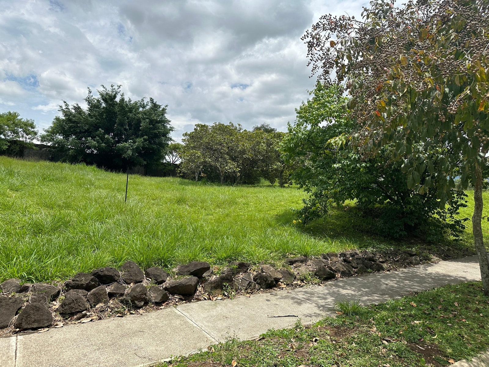 Premium Lot in First Phase of Hacienda Espinal — photo 8 of 19