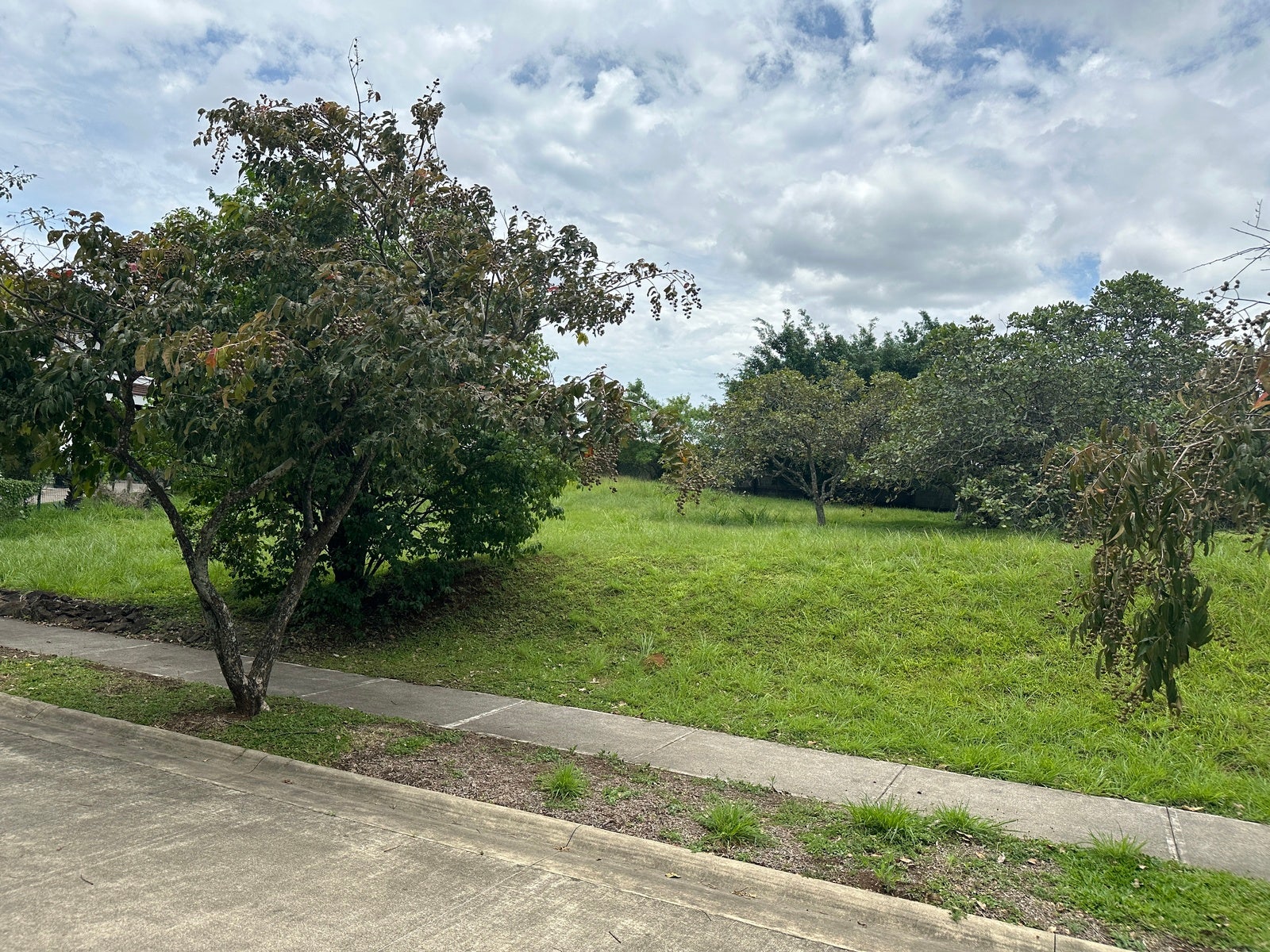 Premium Lot in First Phase of Hacienda Espinal — photo 9 of 19
