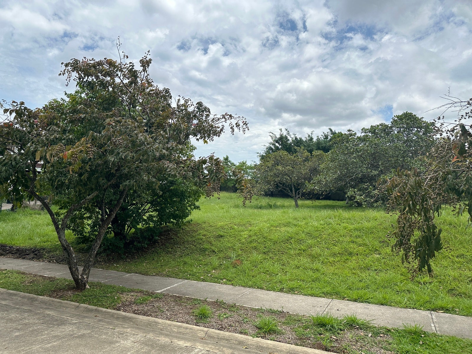 Premium Lot in First Phase of Hacienda Espinal — photo 10 of 19