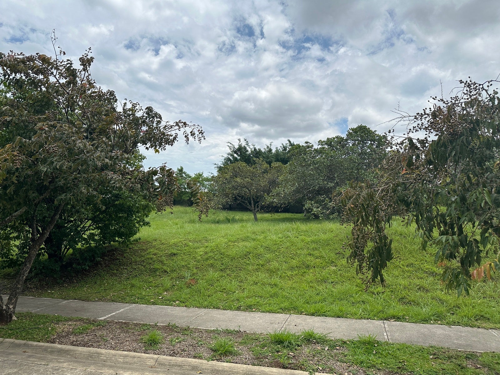 Premium Lot in First Phase of Hacienda Espinal — photo 11 of 19
