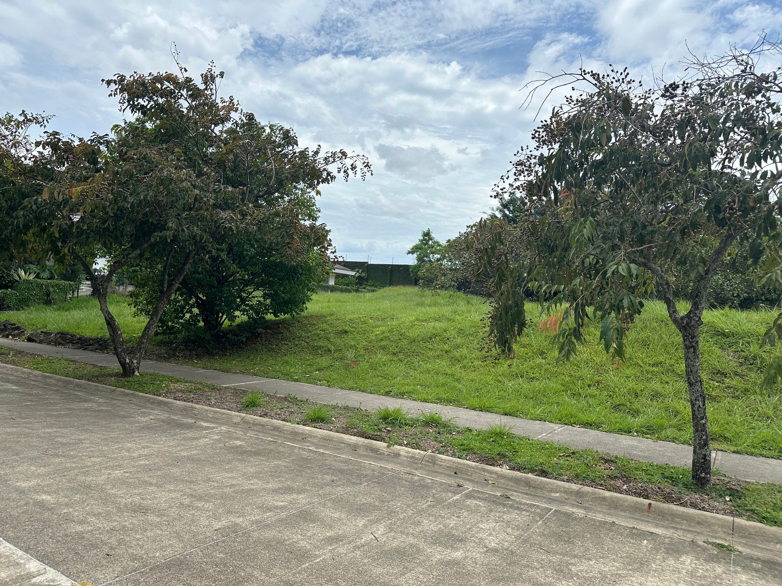 Premium Lot in First Phase of Hacienda Espinal — photo 14 of 19