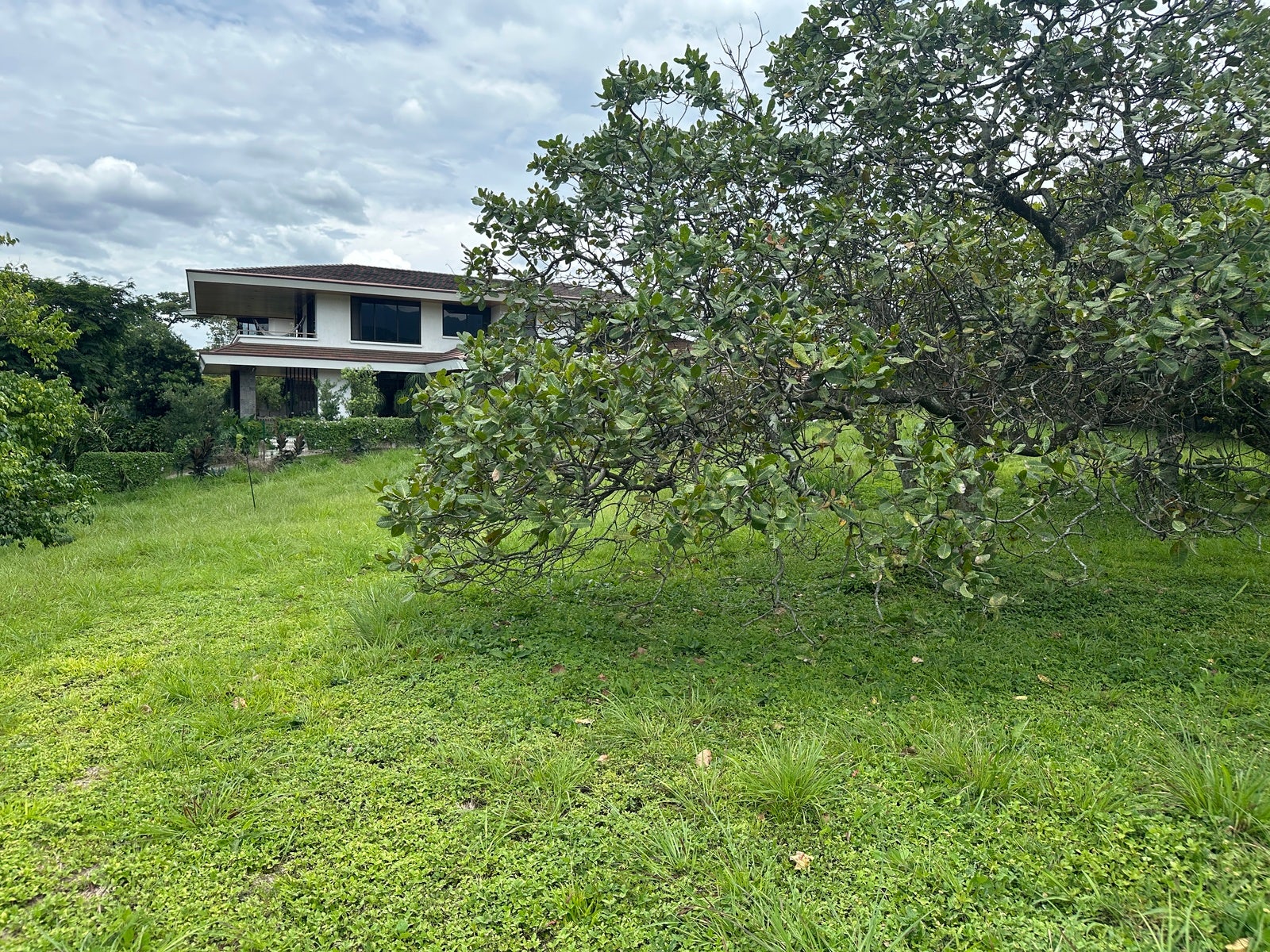 Premium Lot in First Phase of Hacienda Espinal — photo 15 of 19