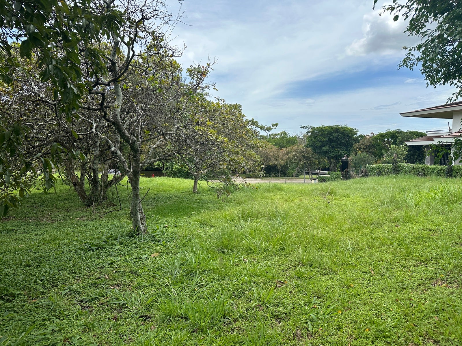 Premium Lot in First Phase of Hacienda Espinal — photo 17 of 19