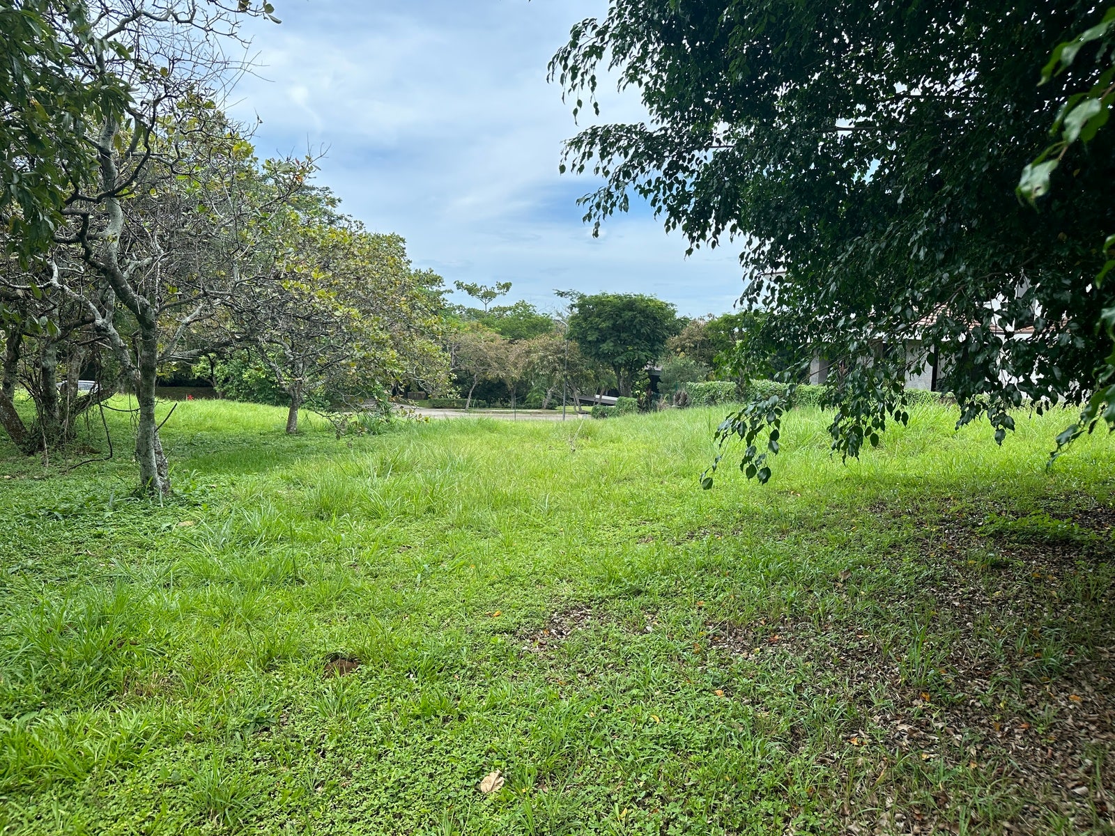 Premium Lot in First Phase of Hacienda Espinal — photo 18 of 19