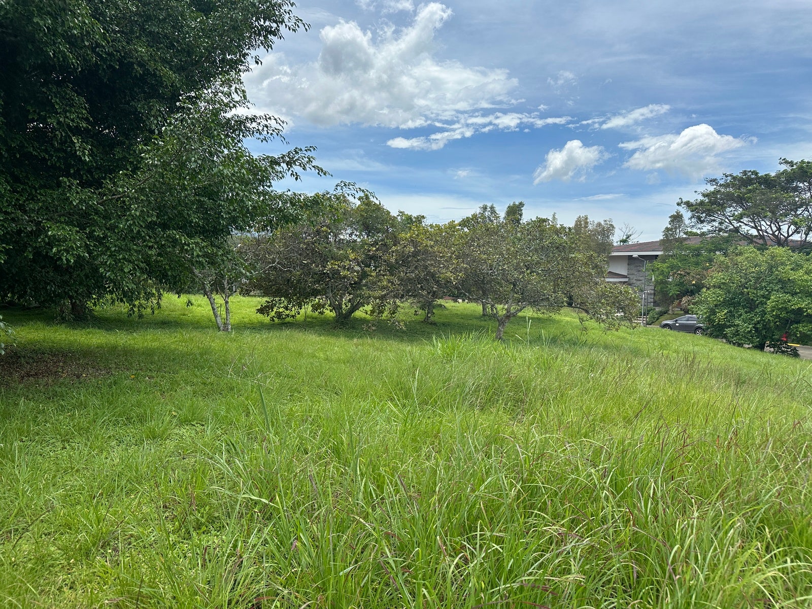 Premium Lot in First Phase of Hacienda Espinal — photo 19 of 19