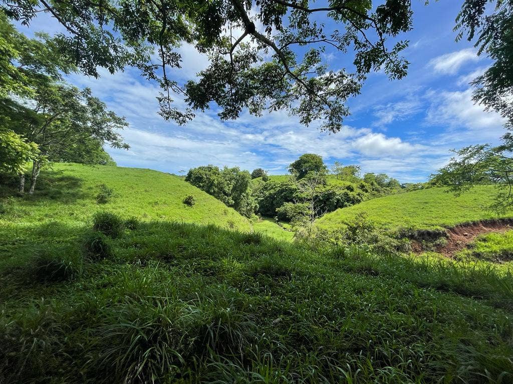 Beautiful Land in Quiet Neighborhood, San Isidro, Santa Teresa, Cobano, Puntarenas, Puntarenas, Costa Rica 60111