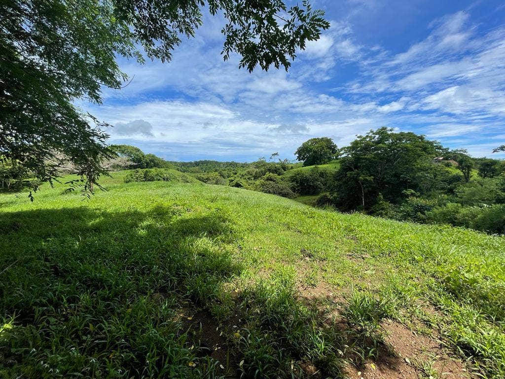 Beautiful Land in Quiet Neighborhood — photo 2 of 4