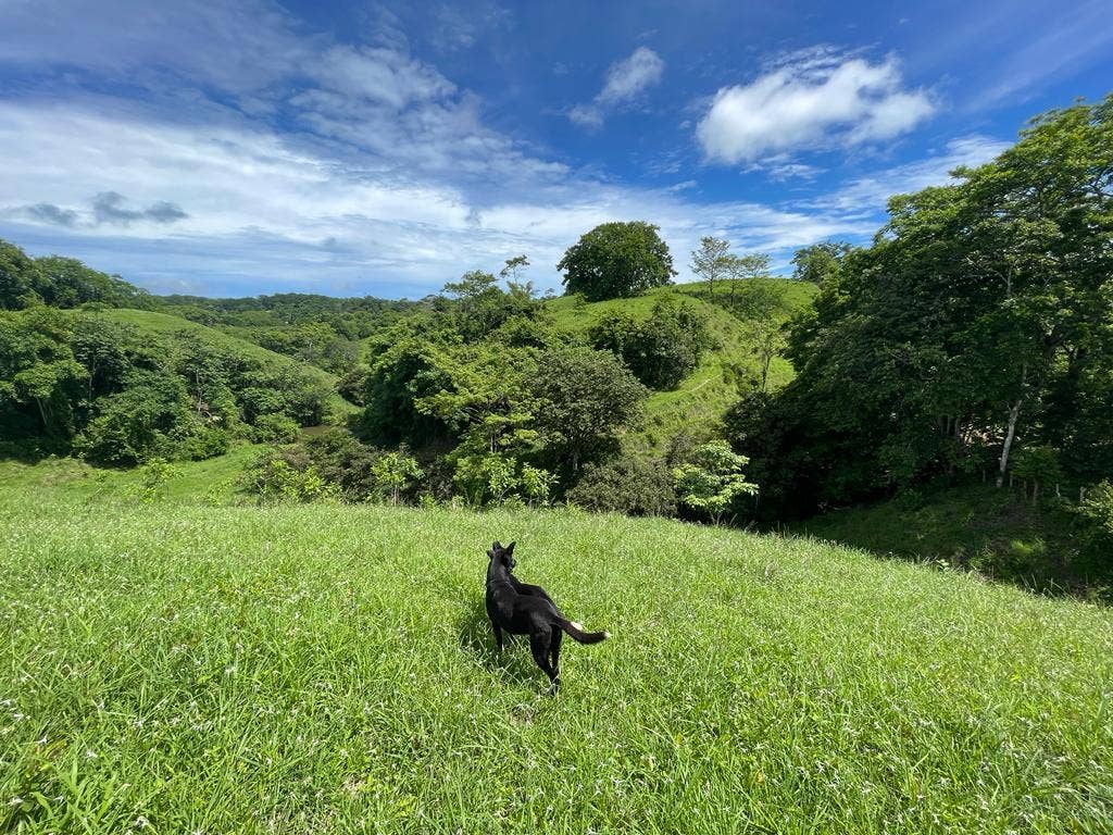 Beautiful Land in Quiet Neighborhood — photo 3 of 4