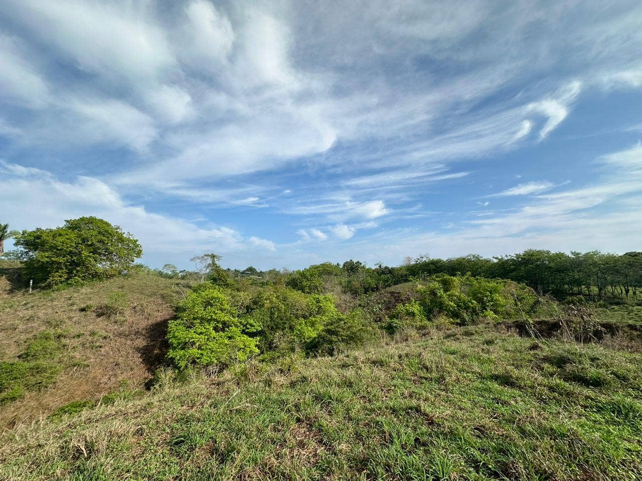 Beautiful Land in Quiet Neighborhood — photo 4 of 4