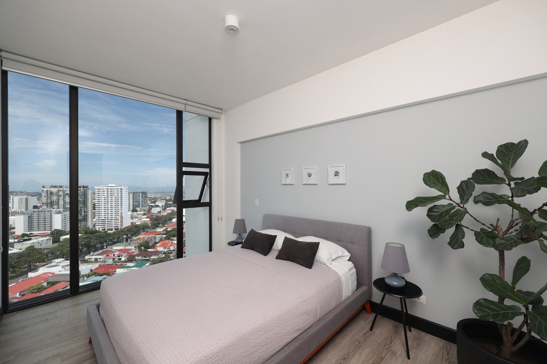 High Rise City Haven — photo 4 of 12