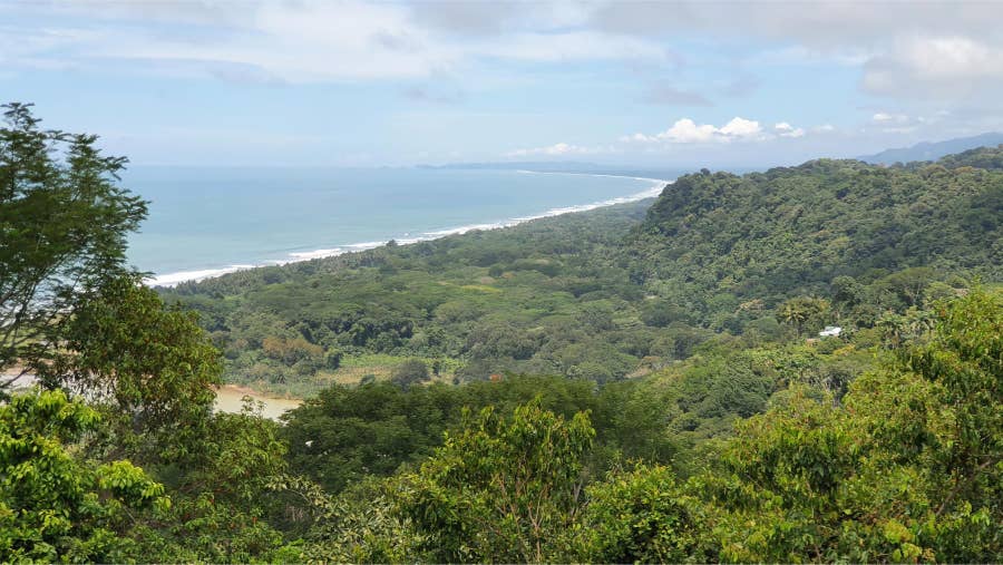 Property photo for Prime Ocean View Development Property, Dominical, Bahia Ballena, Osa, Puntarenas, Costa Rica