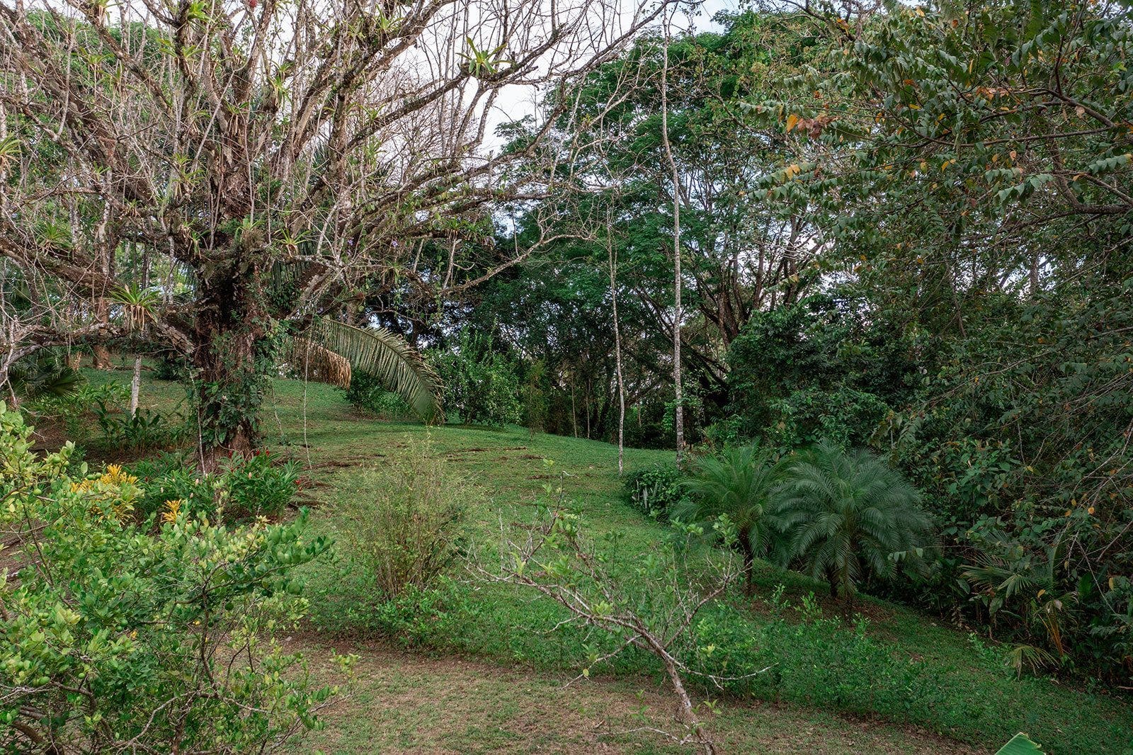 Picturesque House with Large Lot — photo 13 of 14