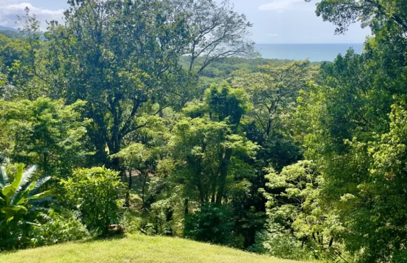 Nativa Resort Oceanview Lot — photo 4 of 8