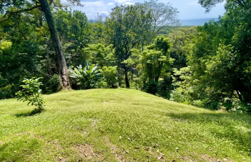 Nativa Resort Oceanview Lot — photo 3 of 8