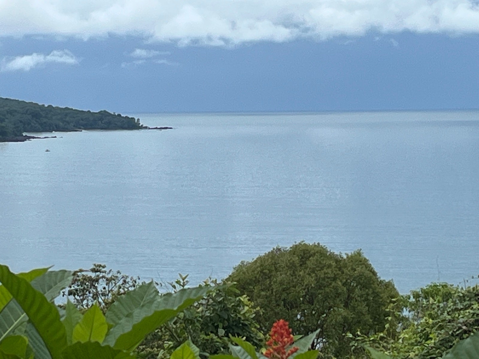 Private Ocean View Lot, Drake Bay, Golfito, Golfito, Osa, Puntarenas, Costa Rica 60503