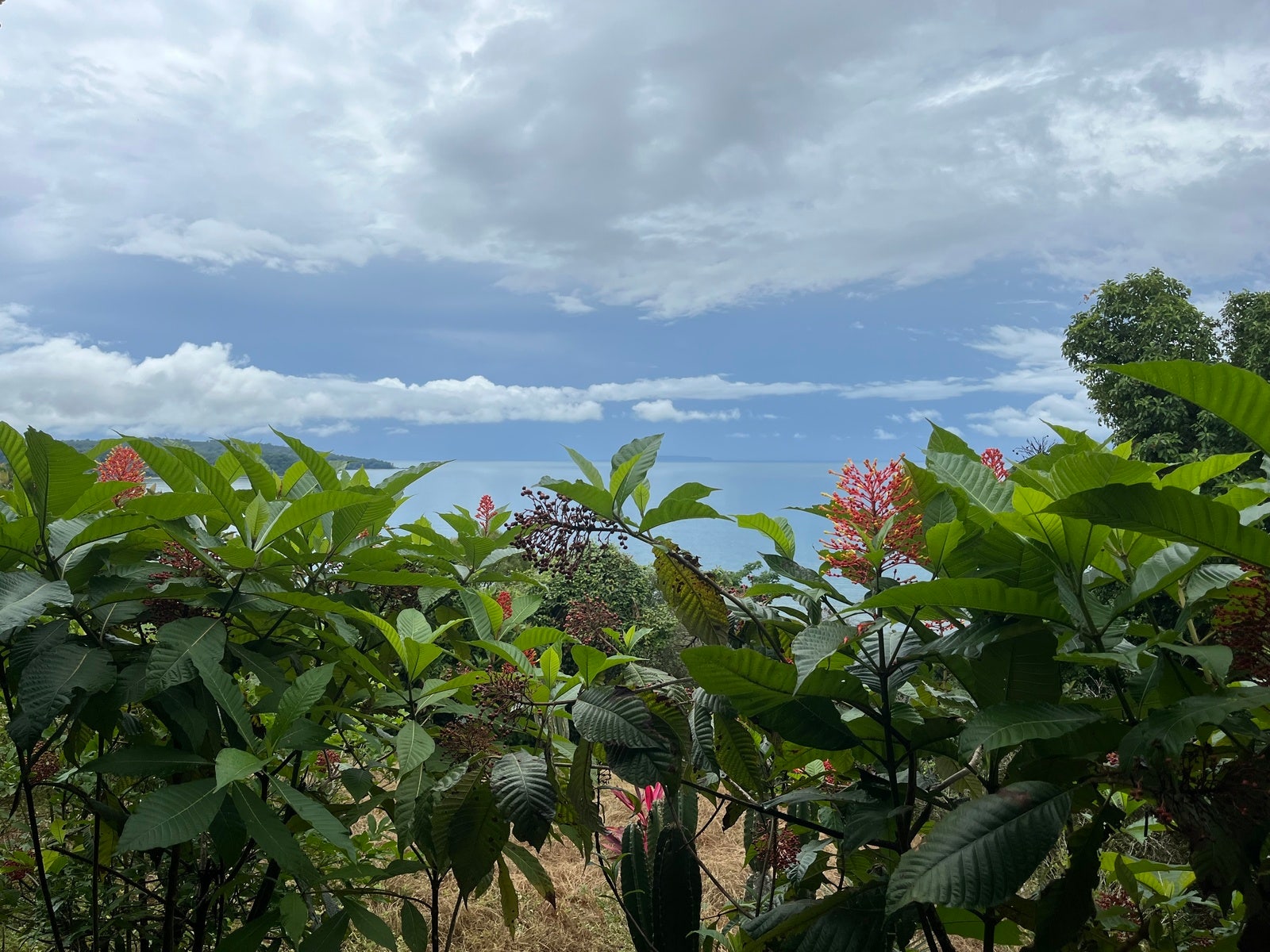 Private Ocean View Lot — photo 2 of 16