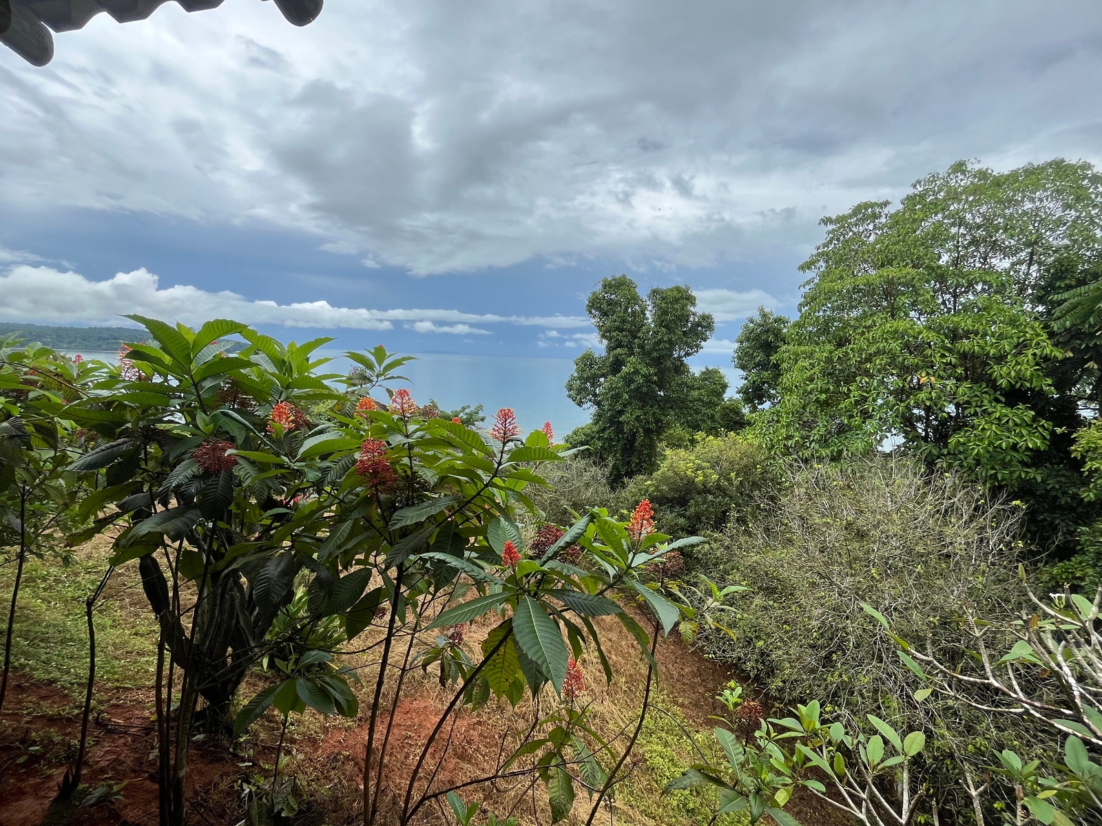 Private Ocean View Lot — photo 5 of 16