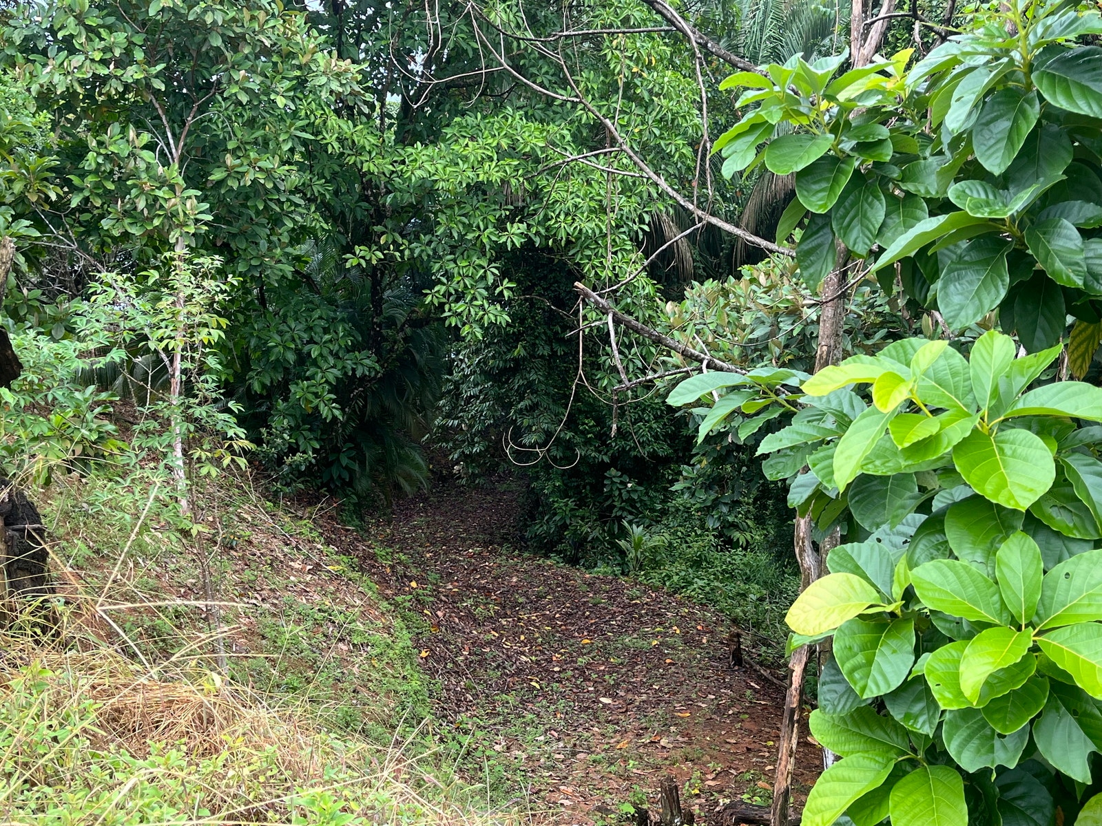 Private Ocean View Lot — photo 6 of 16