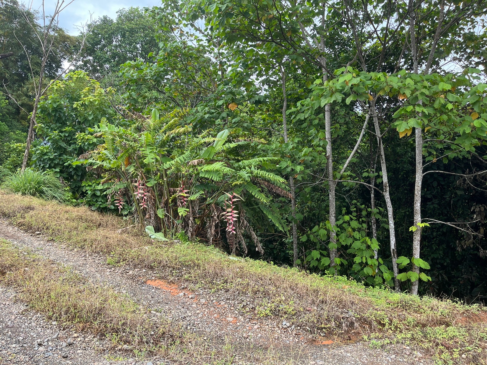 Private Ocean View Lot — photo 10 of 16