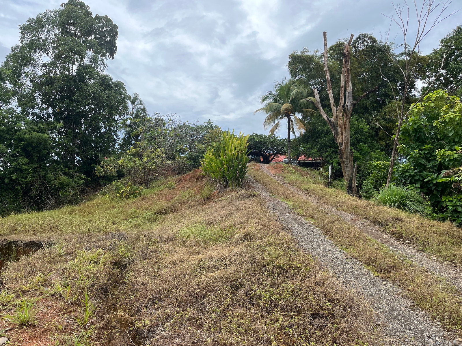 Private Ocean View Lot — photo 11 of 16