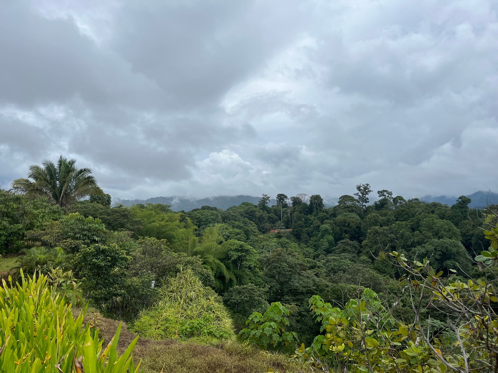 Private Ocean View Lot — photo 13 of 16