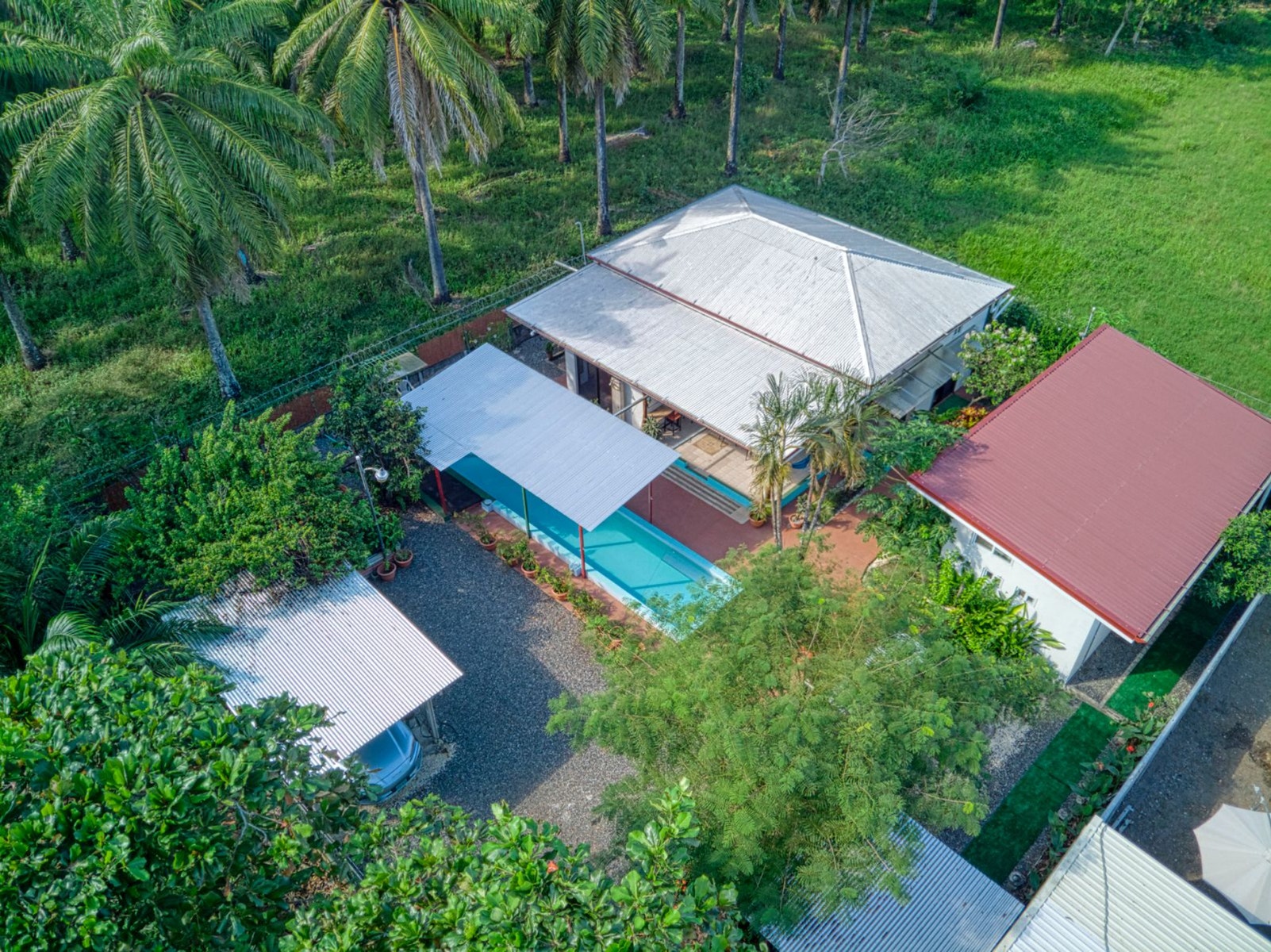 Tropical Pool Estate — photo 12 of 19