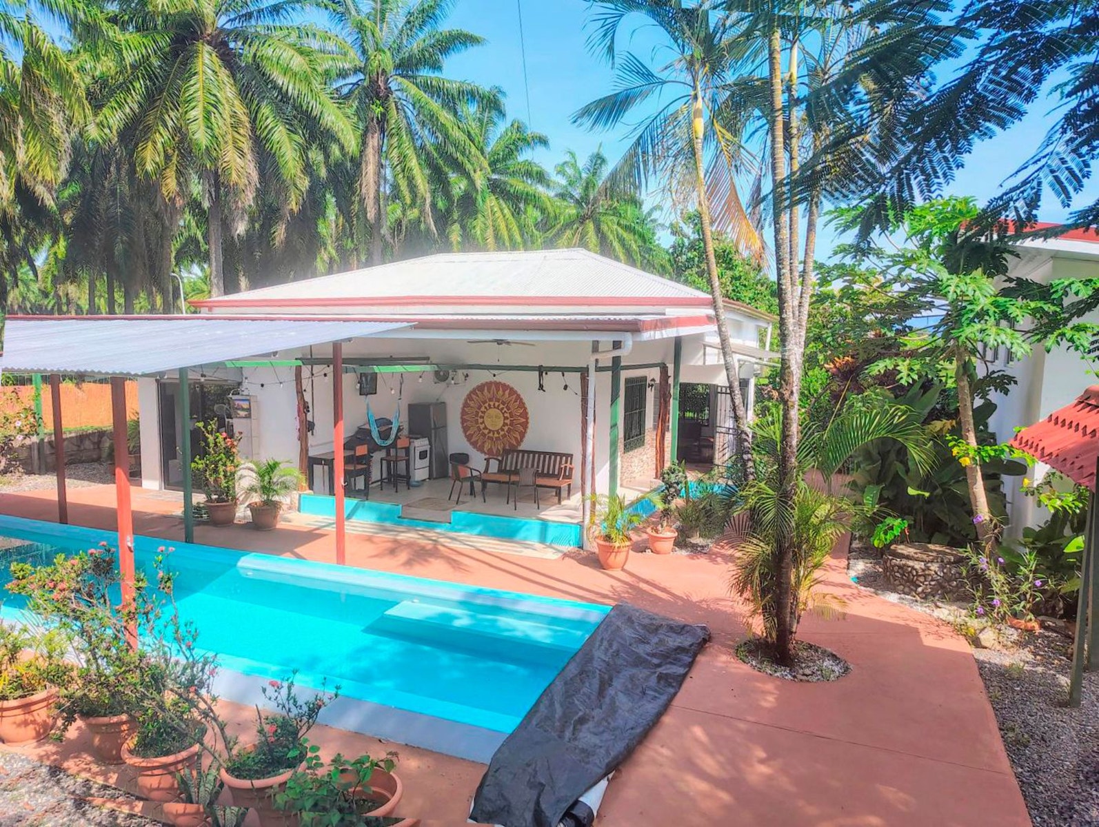 Tropical Pool Estate — photo 14 of 19