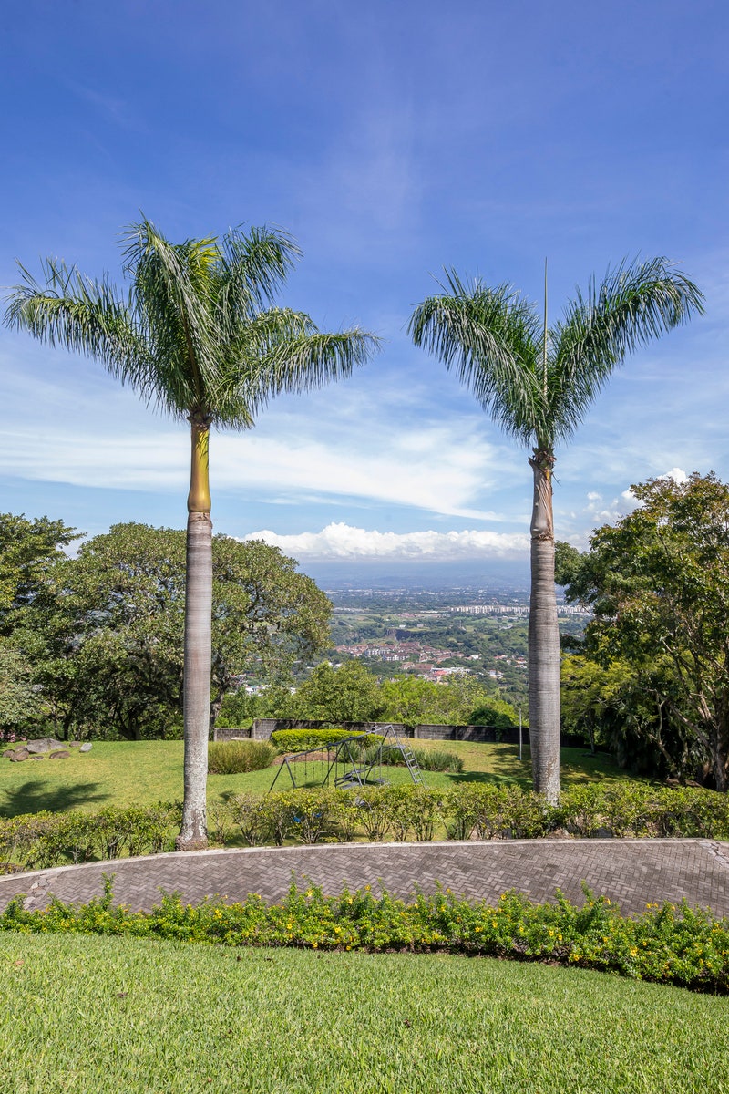 Panoramic View Mountain Estate — photo 4 of 19