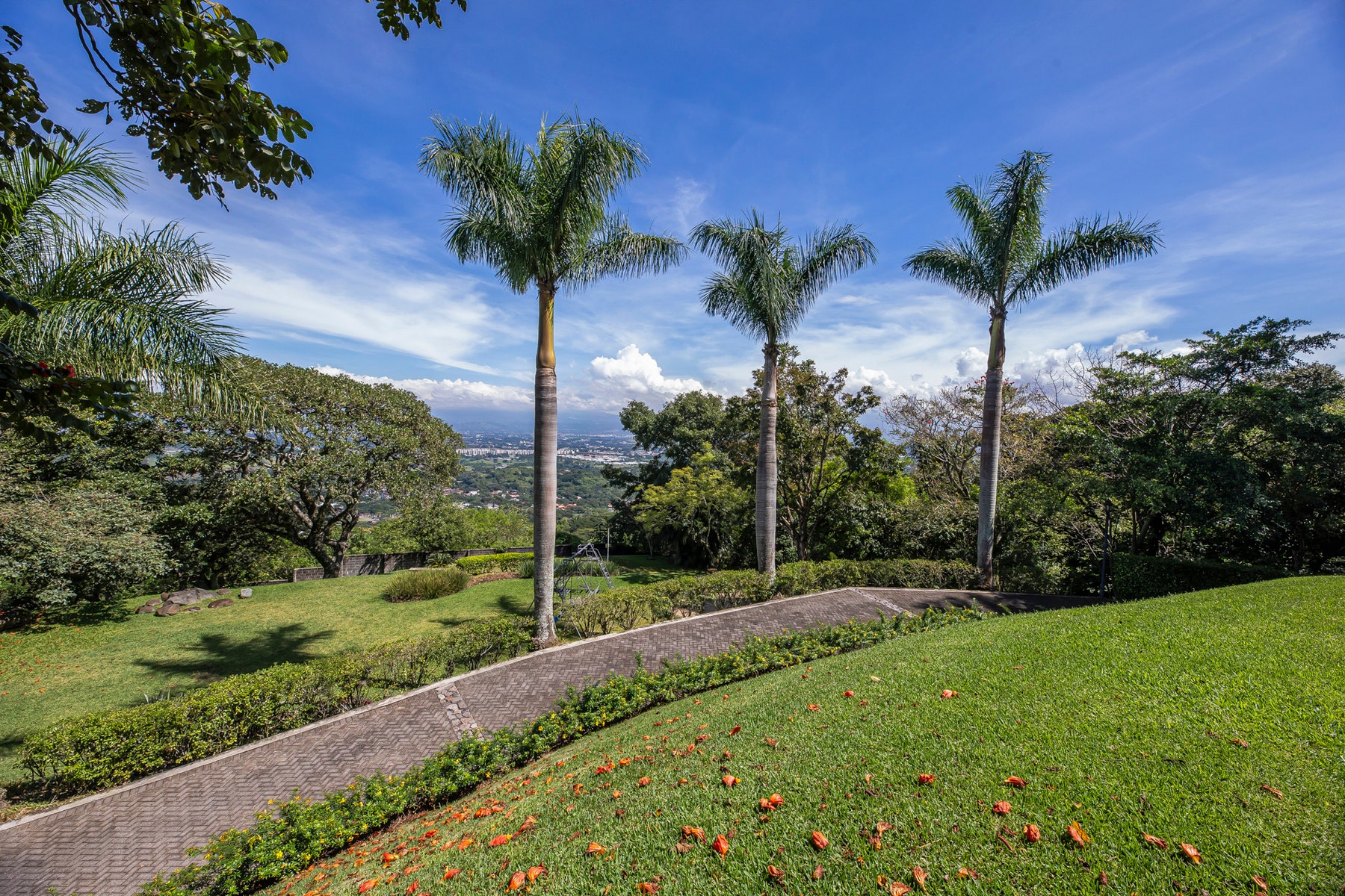 Panoramic View Mountain Estate — photo 6 of 19