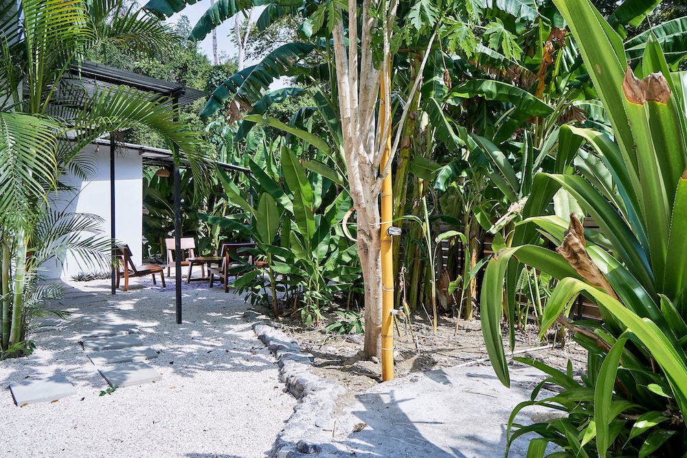 Triplex Close to the Beach — photo 15 of 19