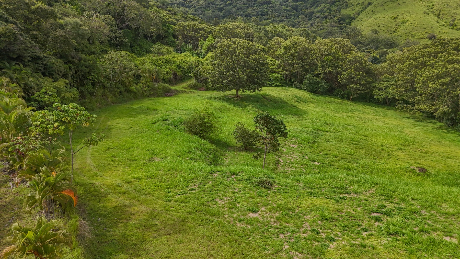 Atenas Prime Development Land — photo 10 of 17