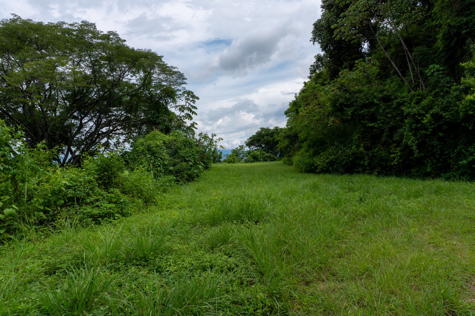 Atenas Prime Development Land — photo 12 of 17