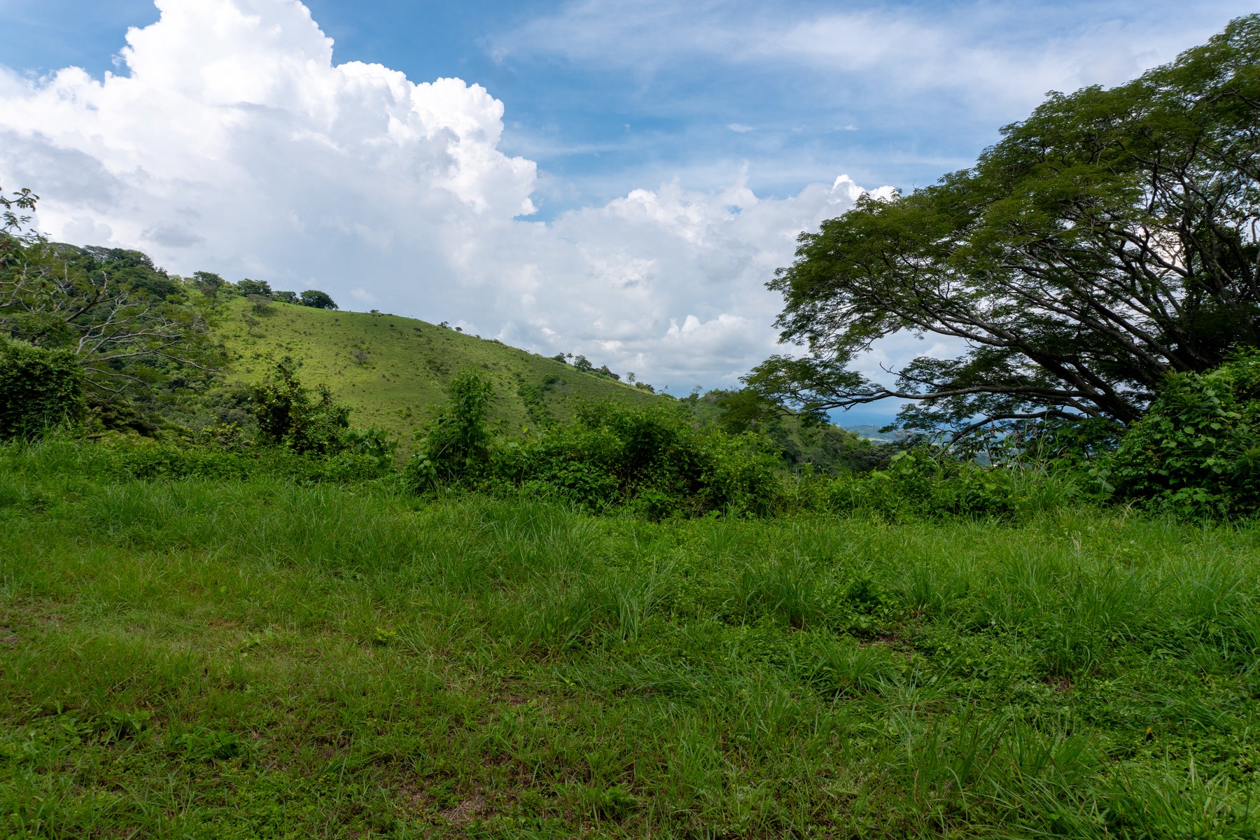 Atenas Prime Development Land — photo 13 of 17