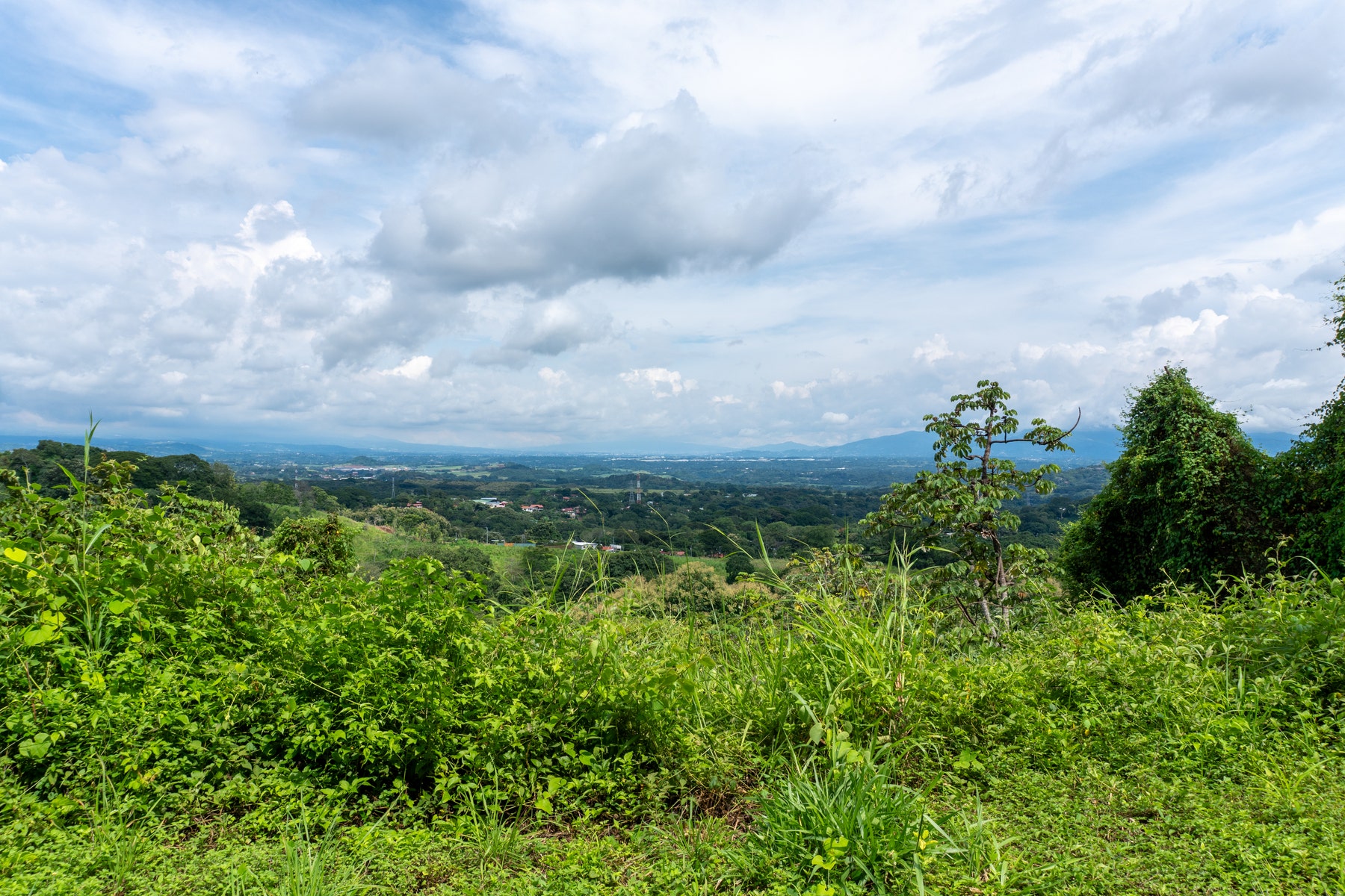 Atenas Prime Development Land — photo 16 of 17