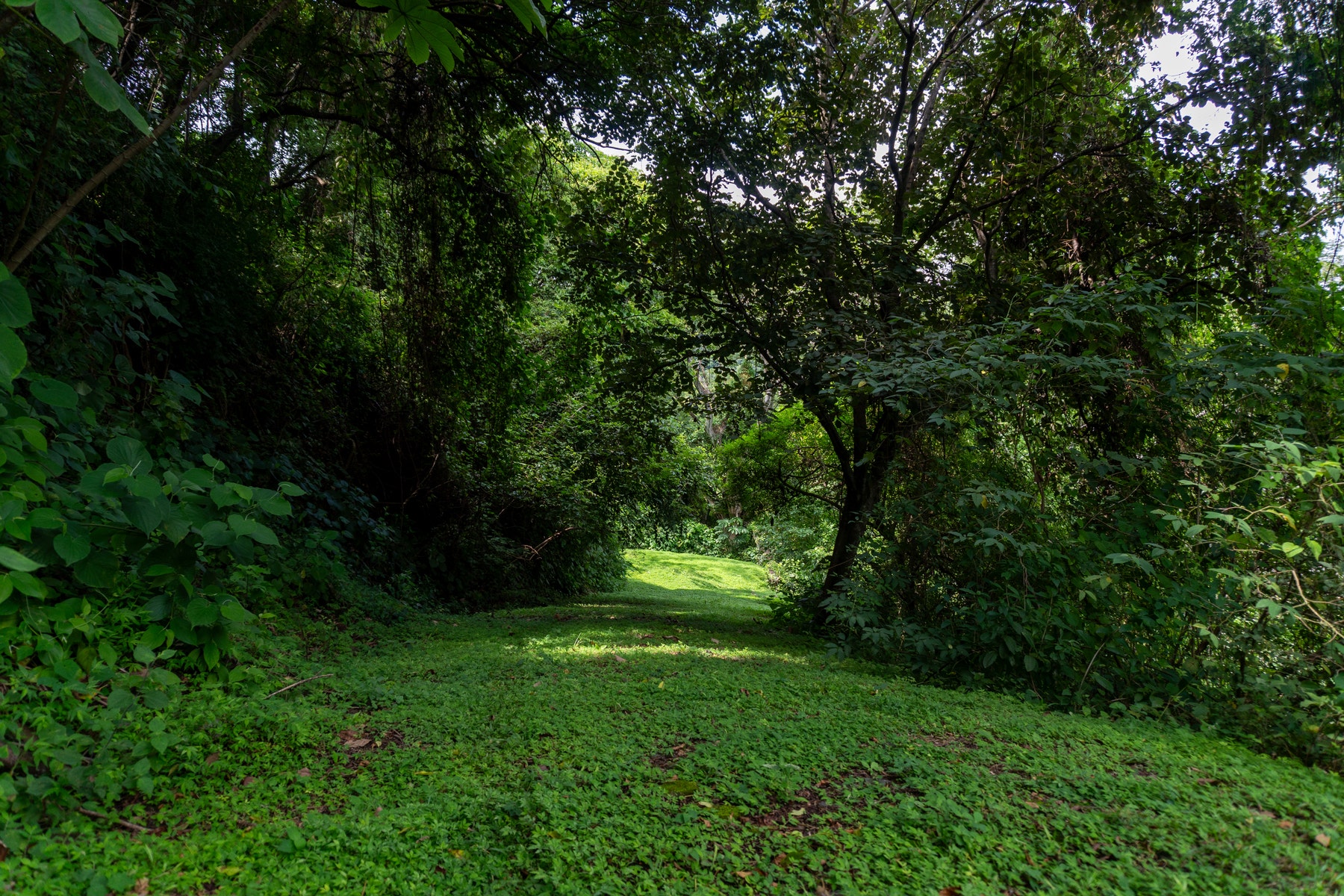 Atenas Prime Development Land — photo 17 of 17