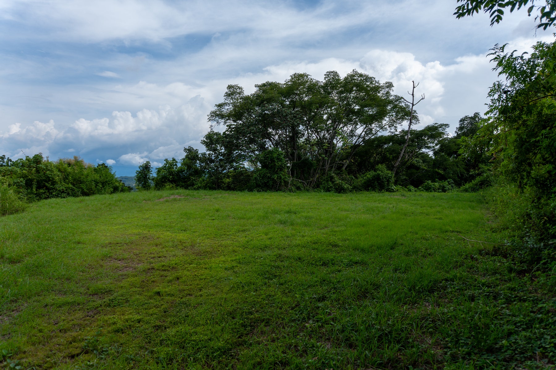 Atenas Prime Development Land — photo 14 of 17