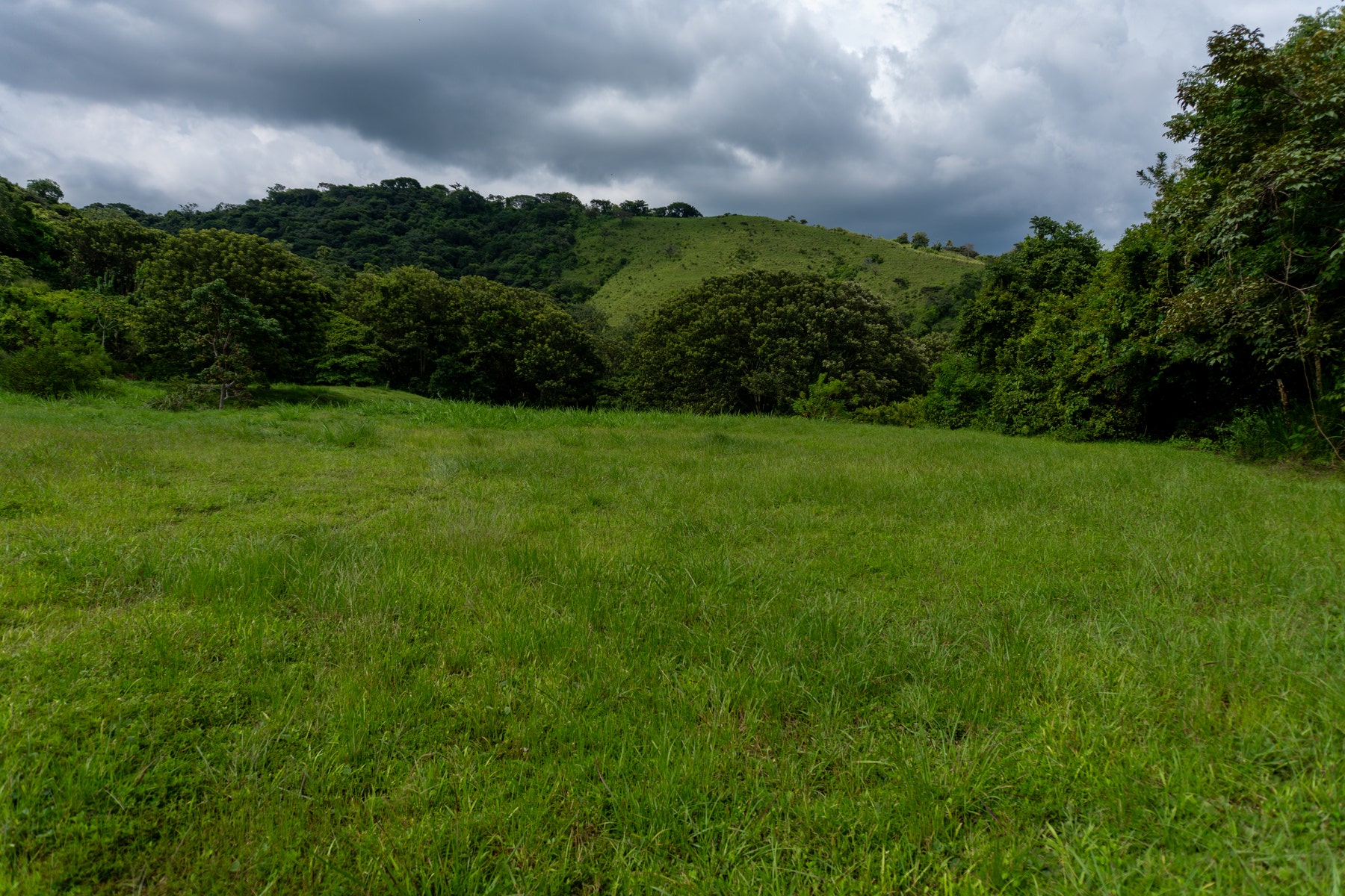 Atenas Prime Development Land — photo 15 of 17
