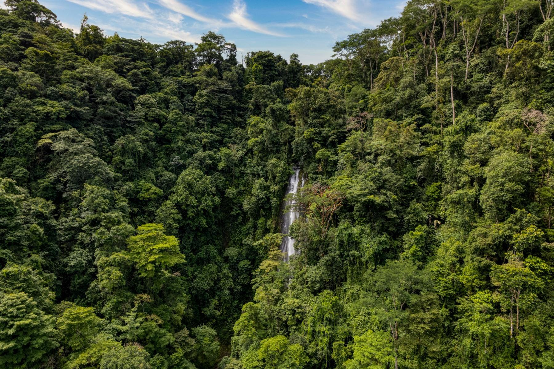 Hidden Gem Waterfall Property In A Protected Corridor, Tinamastes, Perez Zeledon, Perez Zeledon, Perez Zeledon, San Jose, Costa Rica 1901, Tinamastes