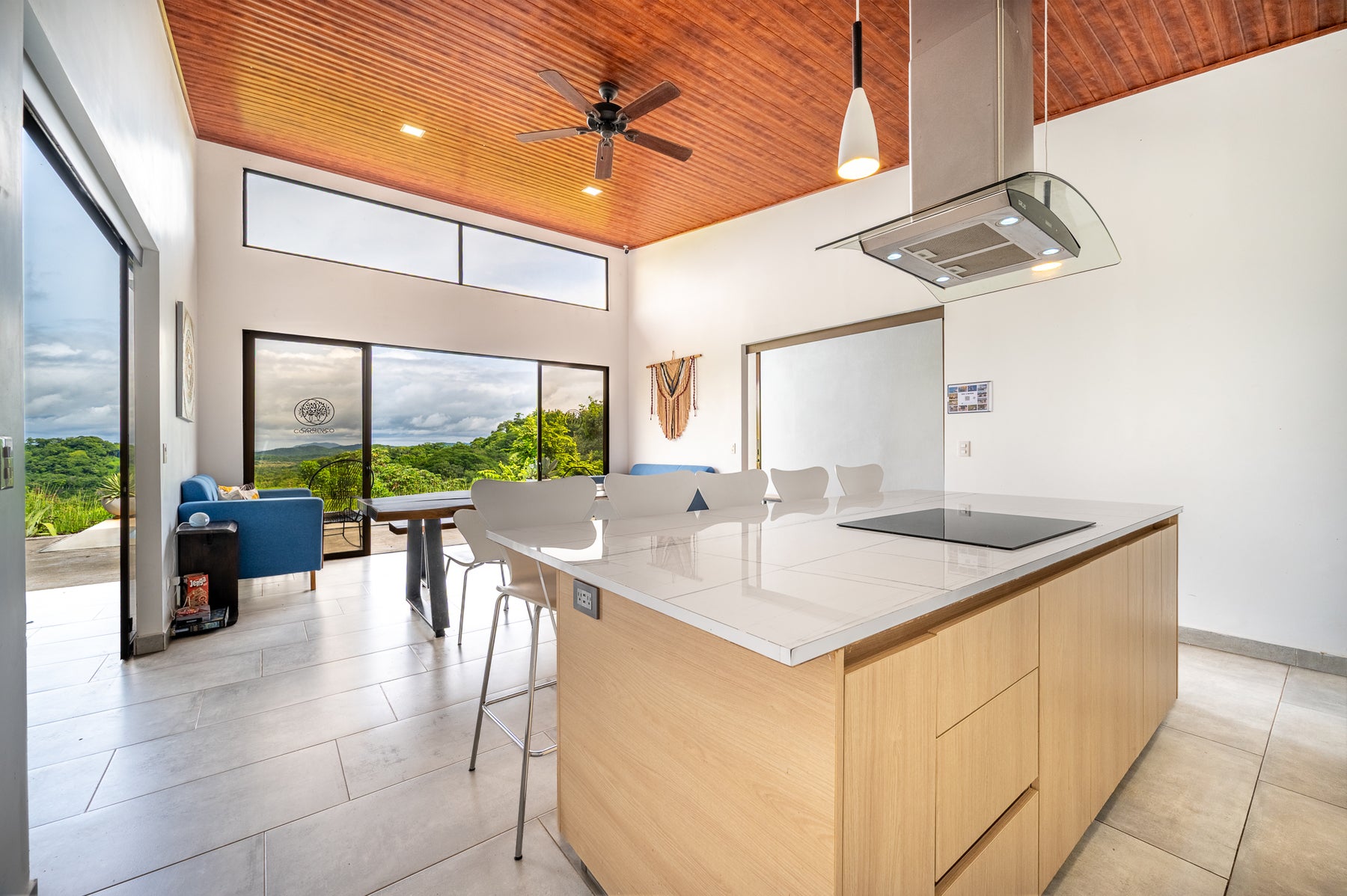Tropical Luxury Modern Home — photo 6 of 19