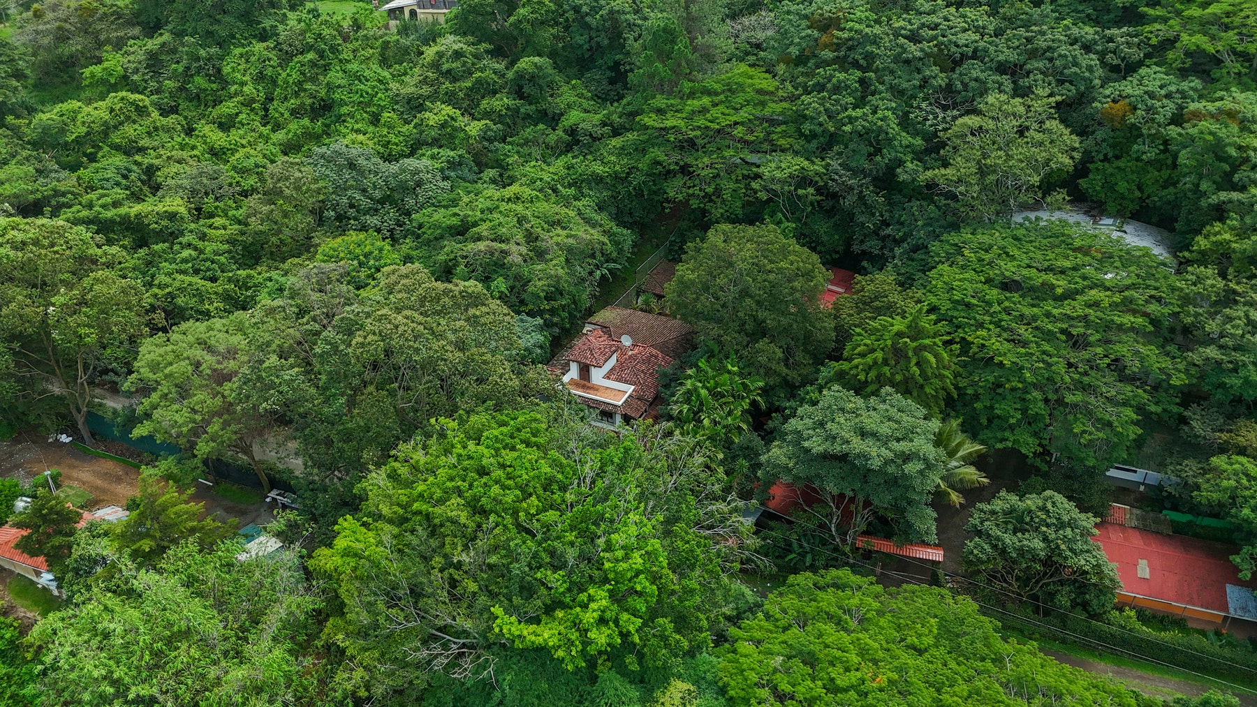 Casa Jungla Private Escape, Santa Ana, San Jose, Santa Ana, San Jose, Costa Rica 10902