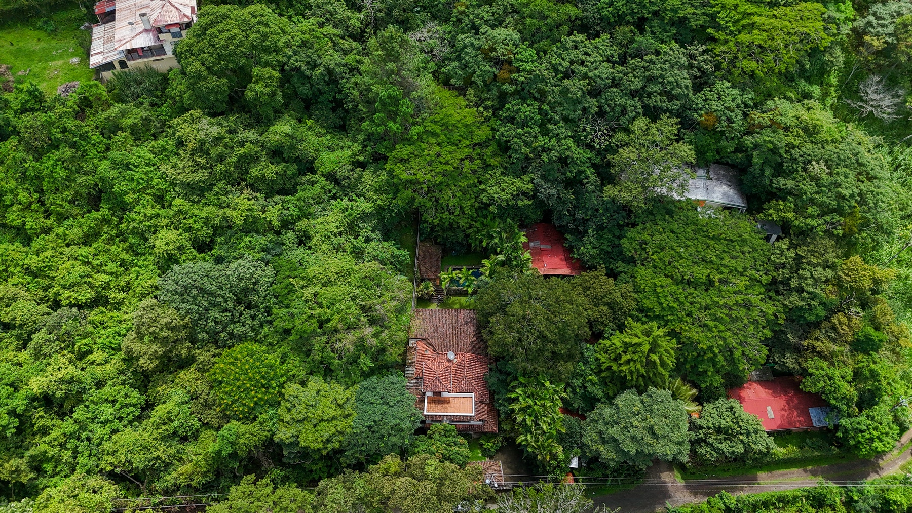 Casa Jungla Private Escape — photo 2 of 19