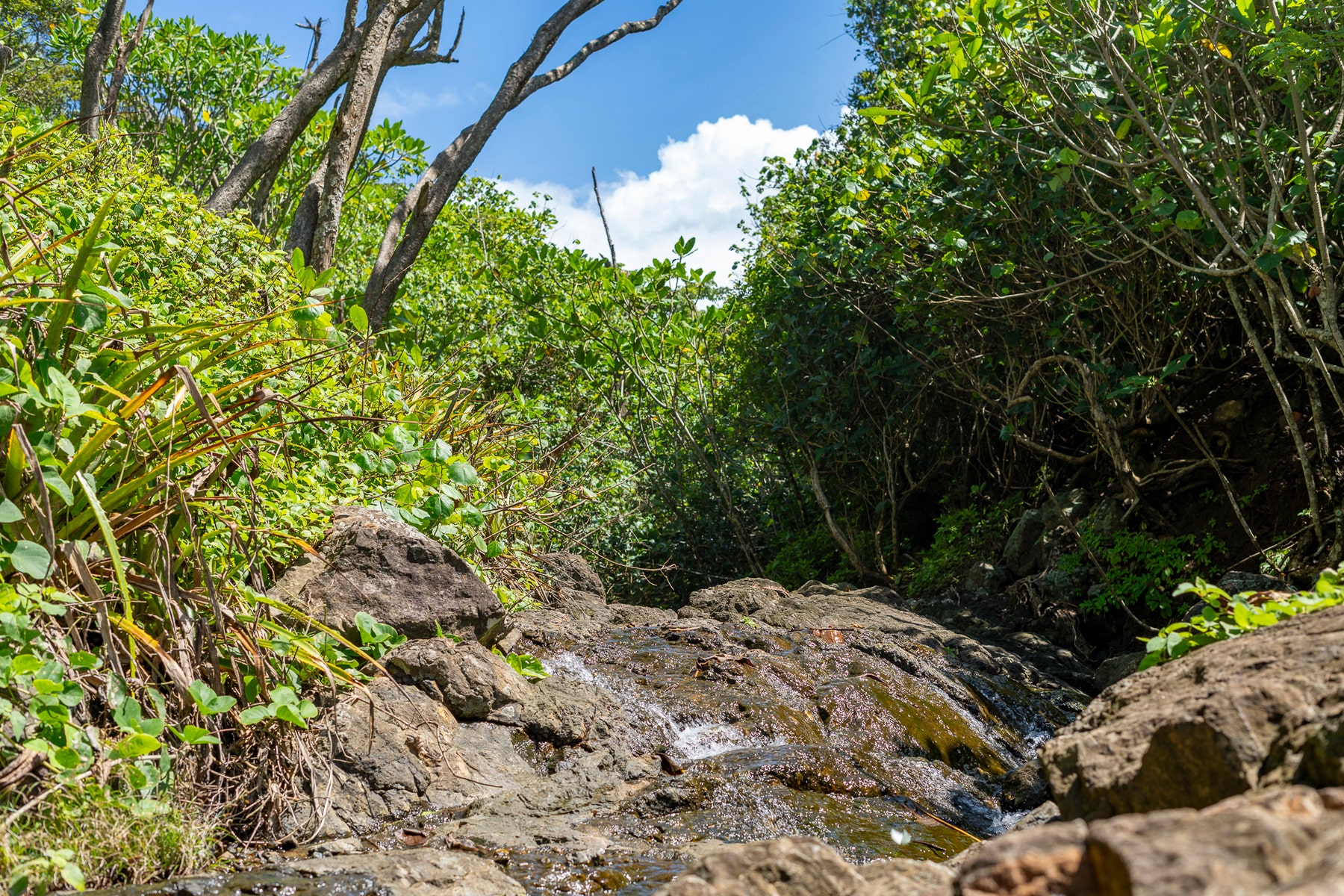 Rare Titled Oceanfront Development Land, Coyote, Bejuco, Nandayure, Guanacaste, Costa Rica — photo 4 of 5