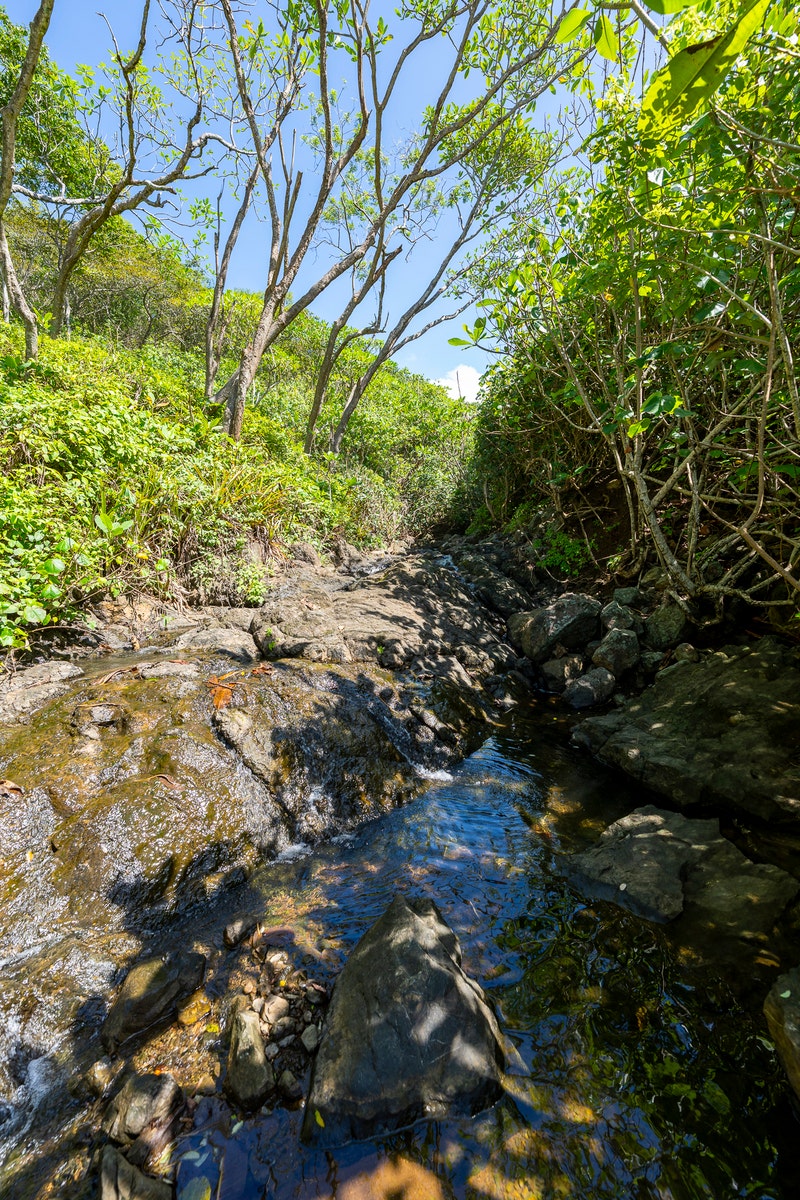 Rare Titled Oceanfront Development Land — photo 9 of 17