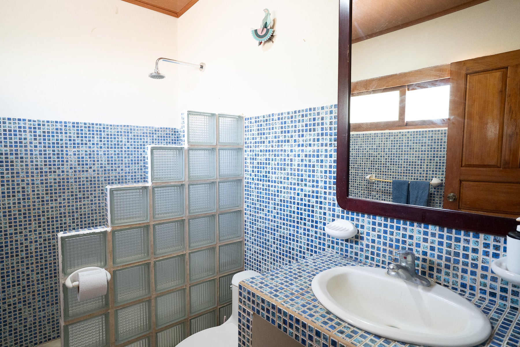 Turnkey Apartments the Heart of Playa Carmen — photo 8 of 18