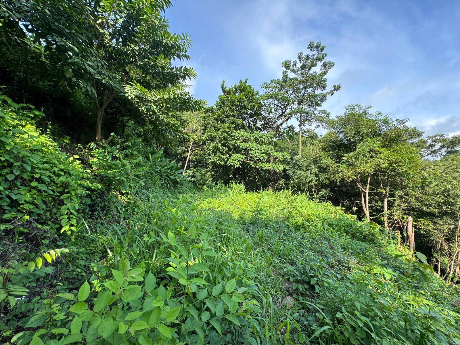 Ocean View Lot — photo 9 of 12